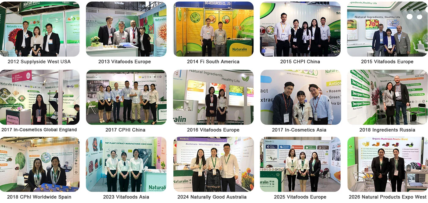 Industry Exhibitions Industry Exhibitions