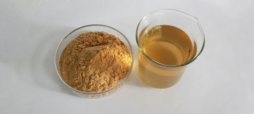 Lion's Mane Mushroom Extract Lion's Mane Mushroom Extract